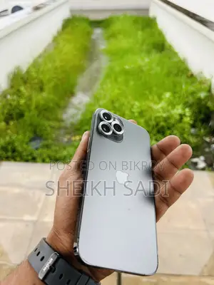 অ্যাপল আইফোন ১২ প্রো ম্যাক্স ২৫৬ জিবি গ্রে