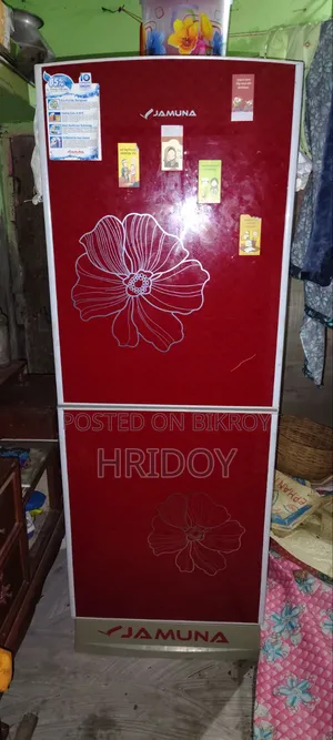 Jamuna Fridge 248 LTR