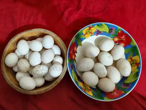 চিনা হাঁস ও ফ্রিজেল মুরগির বীজ ডিম বিক্রি হবে ১ পিস