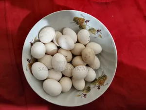 দেশী মুরগীর বীজ ডিম বিক্রি হবে