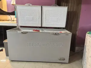 Rangs RCF-1412CG 423 Liter Double Door Freezer