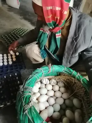 দেশী মুরগির ডিম। Deshi Murgir Dim.
