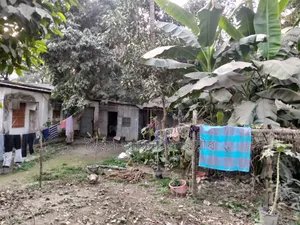 Dispute-Free Land for Sale