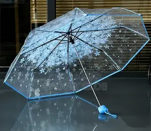 Transparent Umbrella