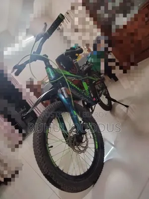 Forever Cycle