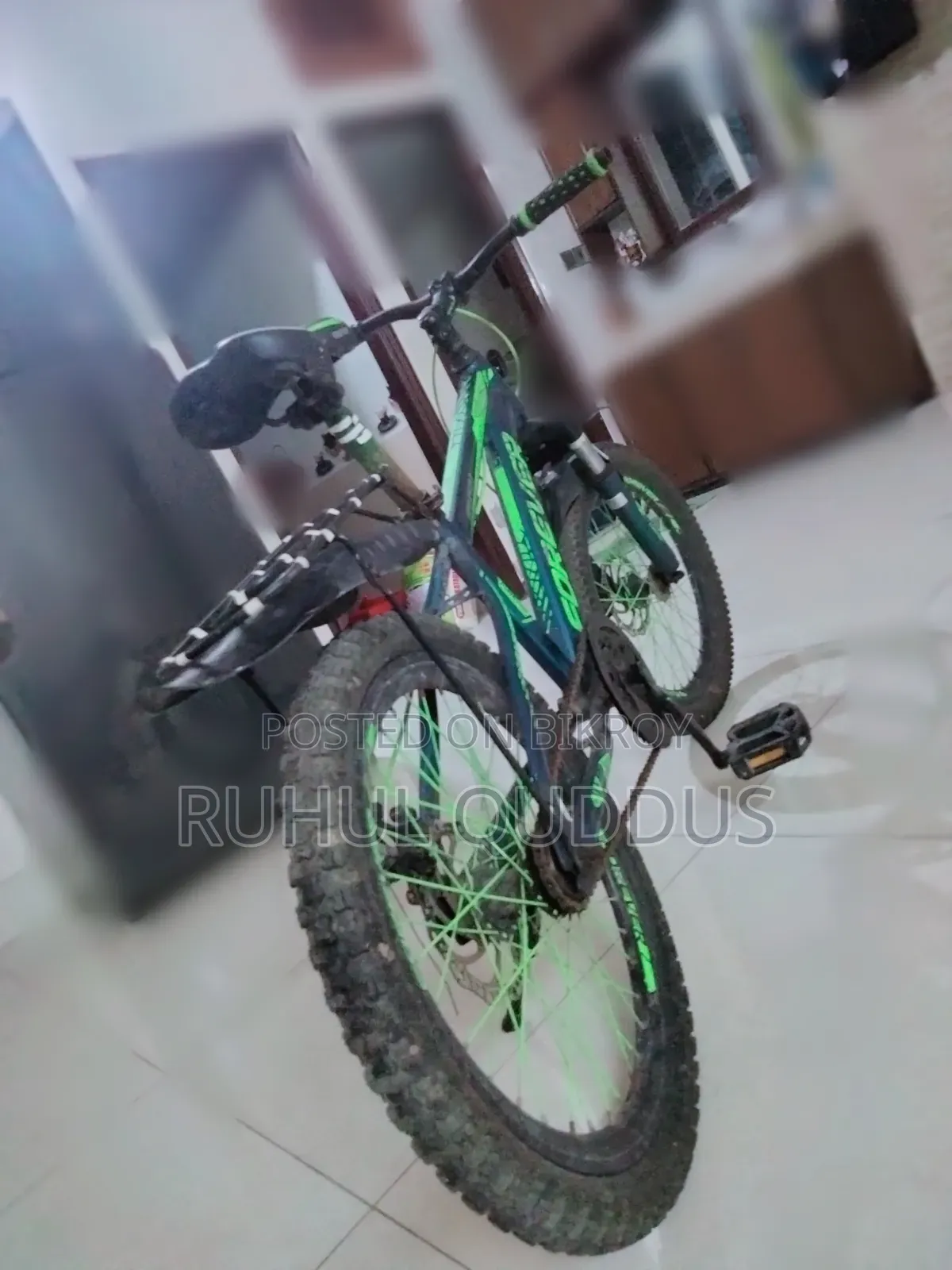 Forever Cycle