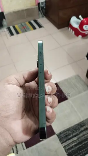 অ্যাপল আইফোন ১৩ প্রো ২৫৬ জিবি সবুজ