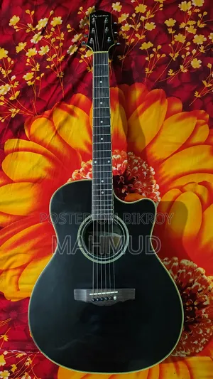 Custom Guitar