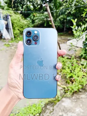 অ্যাপল আইফোন ১২ প্রো ম্যাক্স ২৫৬ জিবি নীল