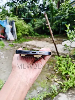 অ্যাপল আইফোন ১২ প্রো ম্যাক্স ২৫৬ জিবি নীল