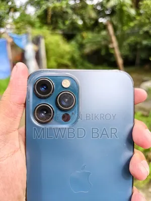 অ্যাপল আইফোন ১২ প্রো ম্যাক্স ২৫৬ জিবি নীল