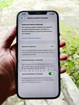 অ্যাপল আইফোন ১২ প্রো ম্যাক্স ২৫৬ জিবি নীল