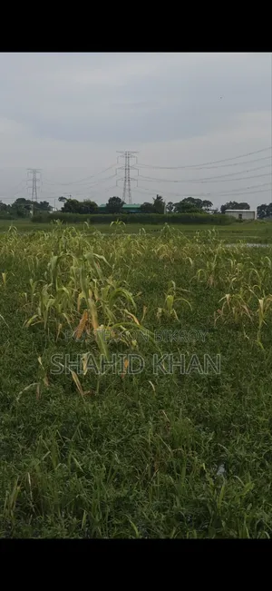 This Land Will Be Sold