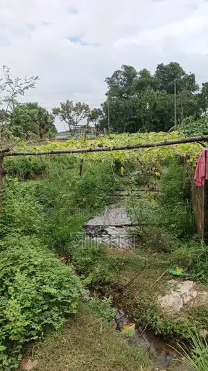 সাভার দোহরা ইস্টার্ন হাউজিং এ ৫ কাঠার একটি প্লট হবে। ইস্টার্ন হাউজিং