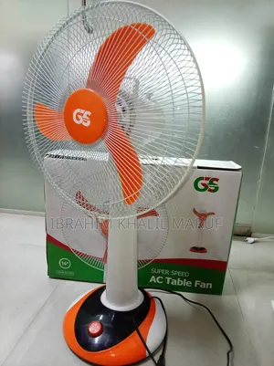 GS - High Speed 220V Table Fan