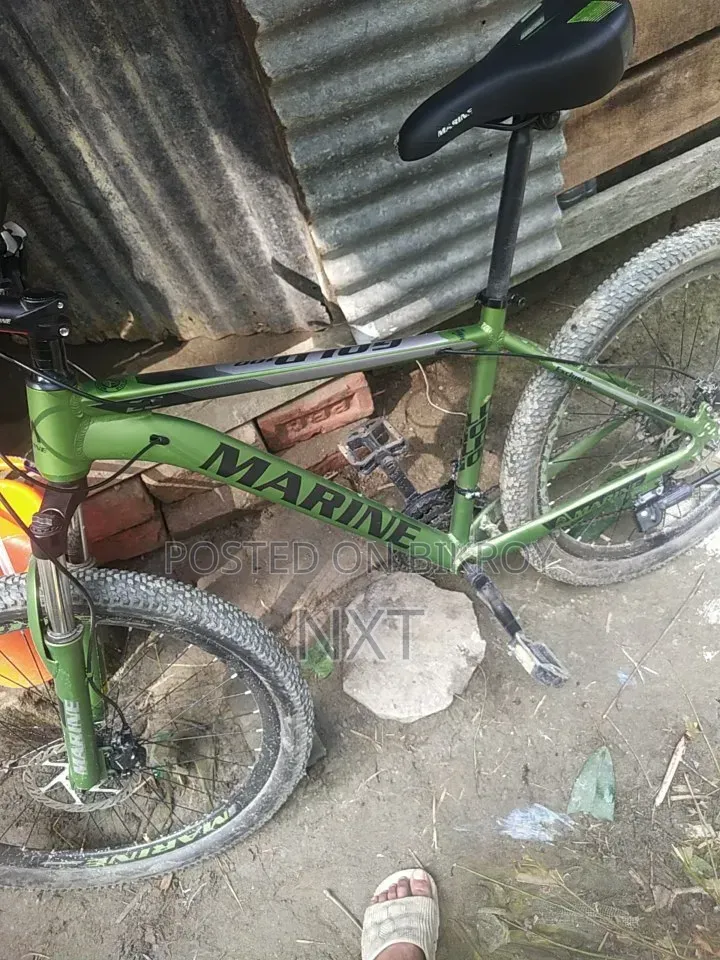 মেরিন গোল্ড ওয়ান হানডেট