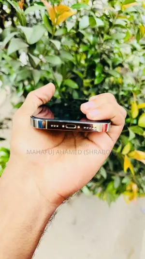 অ্যাপল আইফোন ১৪ প্রো ২৫৬ জিবি গোল্ড