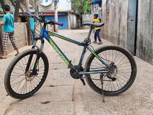 ফিনিক্স কুবো মাউন্টেইন বাইক