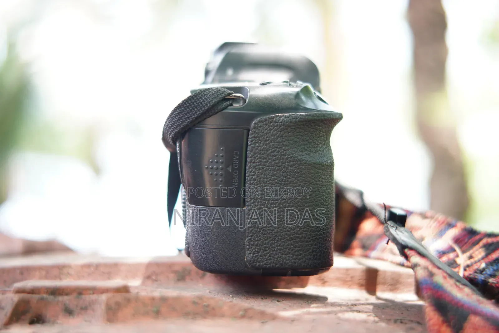 Canon 6D + 50mm Prime Lens