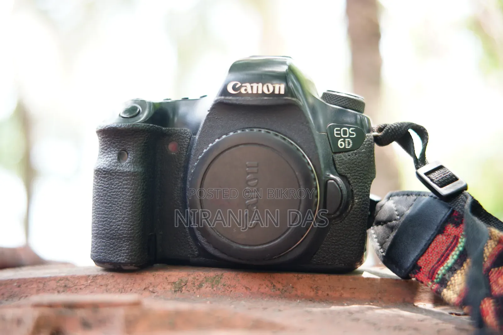 Canon 6D + 50mm Prime Lens