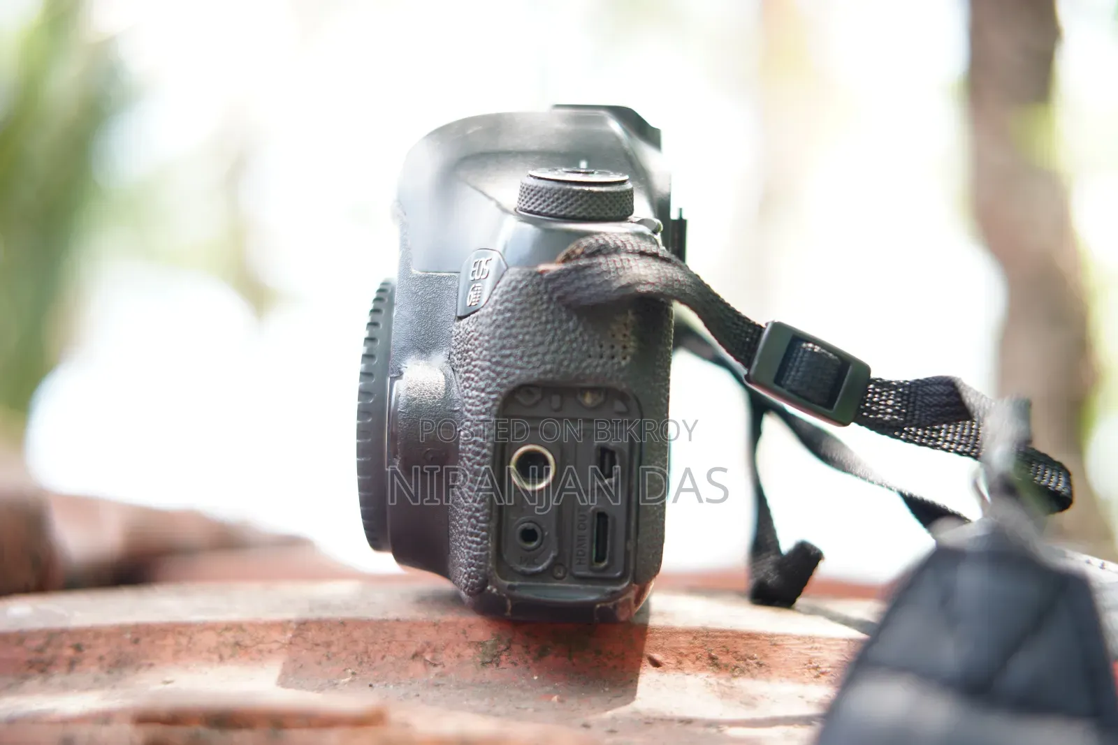 Canon 6D + 50mm Prime Lens