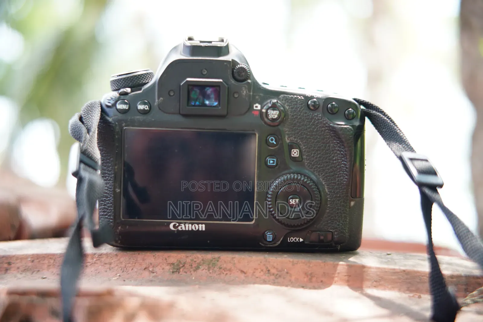 Canon 6D + 50mm Prime Lens