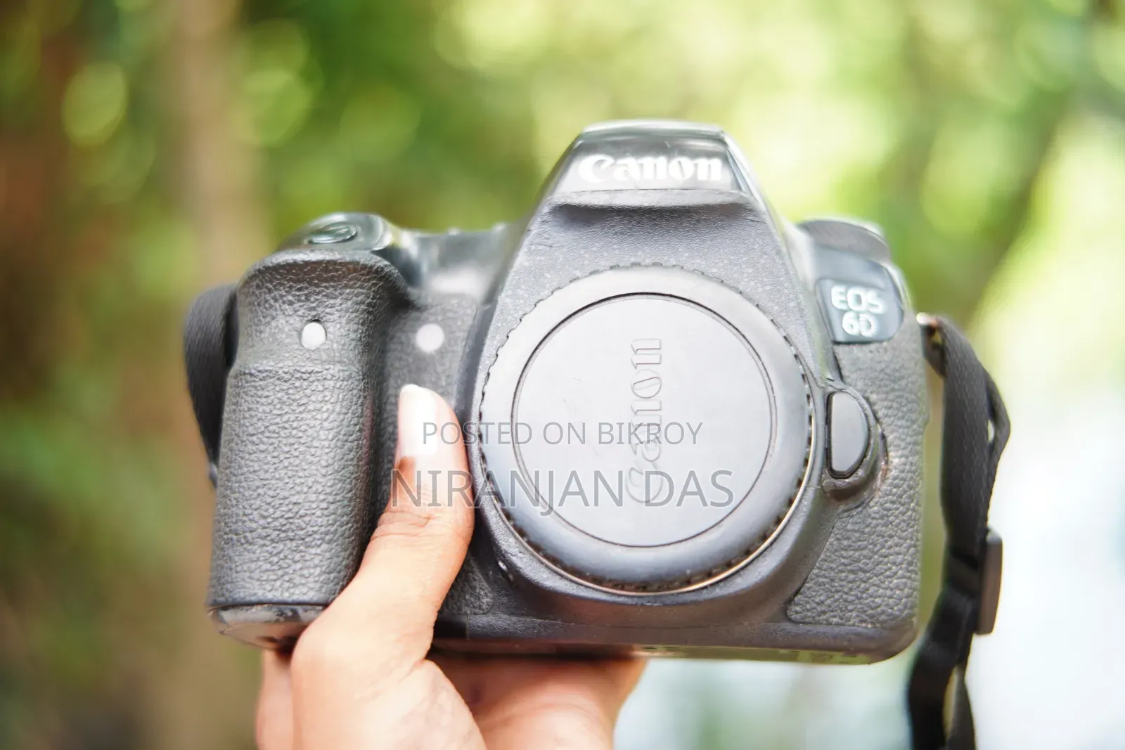 Canon 6D + 50mm Prime Lens