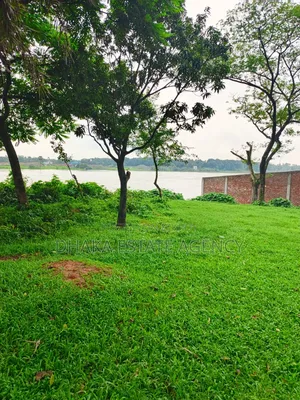 নদী এবং ৩০ ফুটের রাস্তার সামনে ৭৫ কাঠা জমি বিক্রি