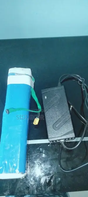 Electric Cycle Battery Lithium Phosphate 24V 15Amp