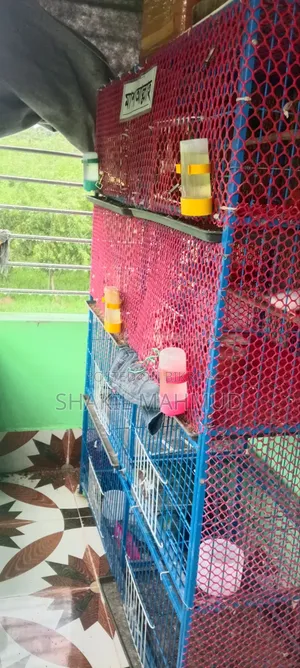 এই পাখির খাঁচাটি জরুরি বিক্রয় হইবে।