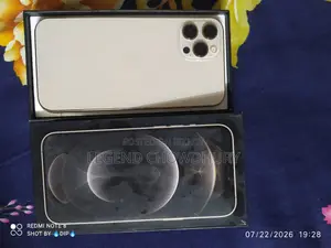 অ্যাপল আইফোন ১২ প্রো ম্যাক্স ১২৮ জিবি গোল্ড