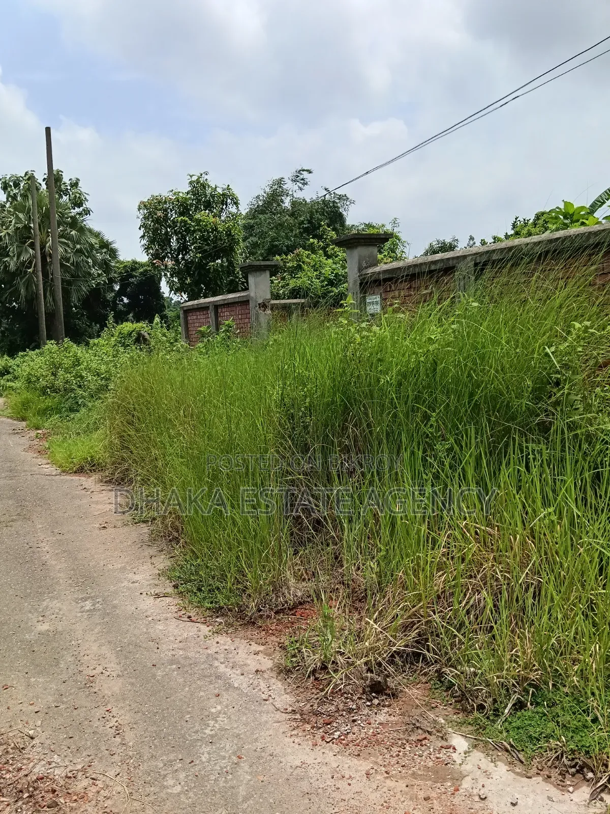 জরুরী দক্ষিণমুখী ৫ কাঠা প্লট সেক্টর ১৬এ