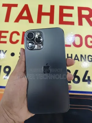 Apple iPhone 12 Pro Max 256 GB Gray