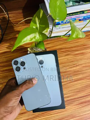 অ্যাপল আইফোন ১৩ প্রো ১২৮ জিবি সিলভার