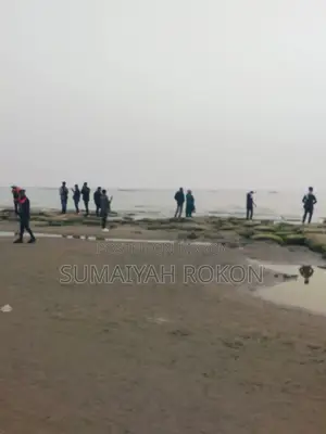 কাস্টমার সাপোর্ট অপারেটর (ফিমেল)