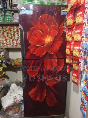 Inverter Fridge
