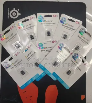 Ezviz D Series 64gb Microsd Memory Card.