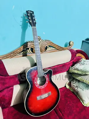 Winfer Guitar