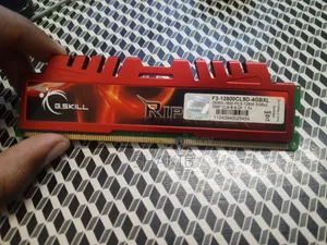 DDR3 4GB RAM (4GB x 2 = 8GB Total)