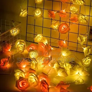 Decoration Lighting Set – Premium LED Light to Enhance Home Beauty