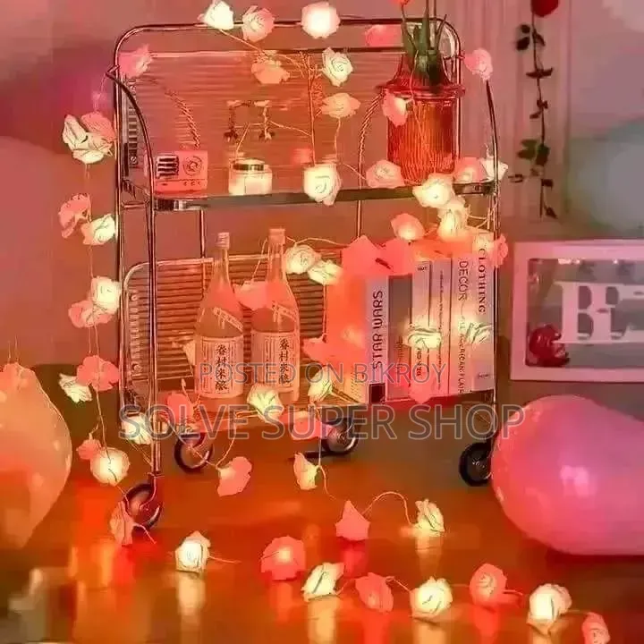 Decoration Lighting Set – Premium LED Light to Enhance Home Beauty