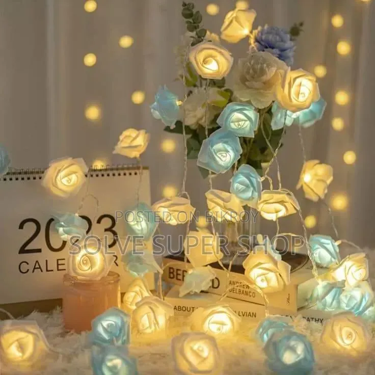 Decoration Lighting Set – Premium LED Light to Enhance Home Beauty