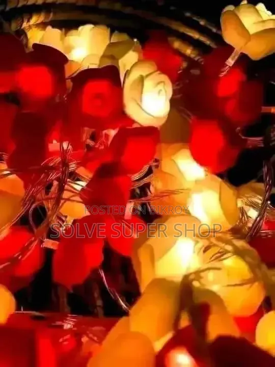 Decoration Lighting Set – Premium LED Light to Enhance Home Beauty