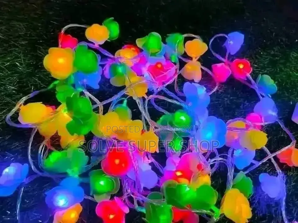Decoration Lighting Set – Premium LED Light to Enhance Home Beauty