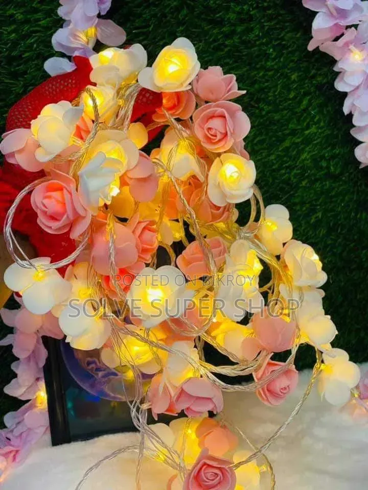 Decoration Lighting Set – Premium LED Light to Enhance Home Beauty