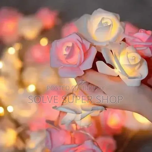 Decoration Lighting Set – Premium LED Light to Enhance Home Beauty