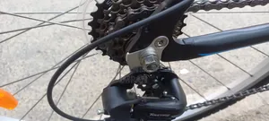 Python Cycle