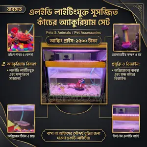 Decorative Glass Aquarium (With LED Light Accessories)