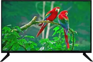 5 Years Guaranty 24 Inch Smart Android HD Ready Supported LED TV