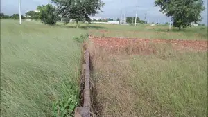 Looking for J, K, L Plot. Direct Buyer Looking for Direct Seller